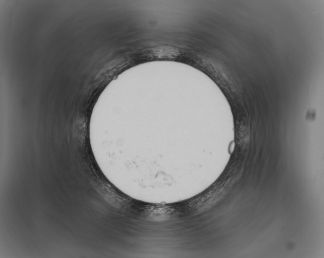 X0000097590321200803280934