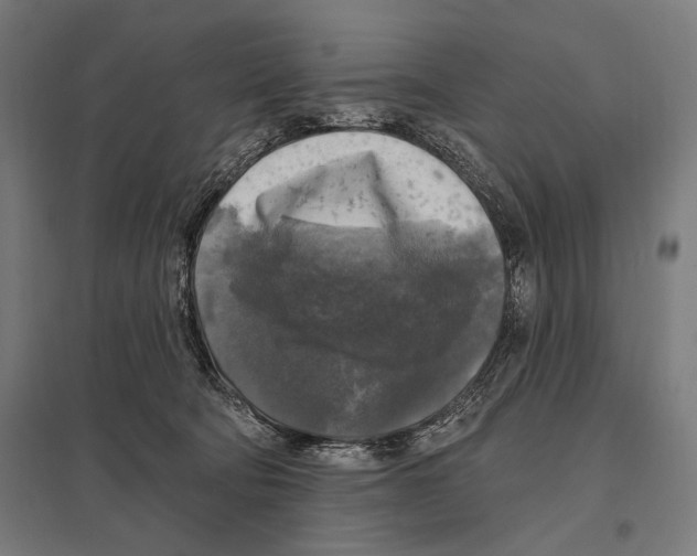 X0000097590322200803280934