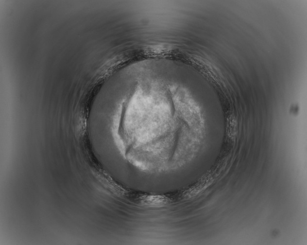 X0000097590324200803280934