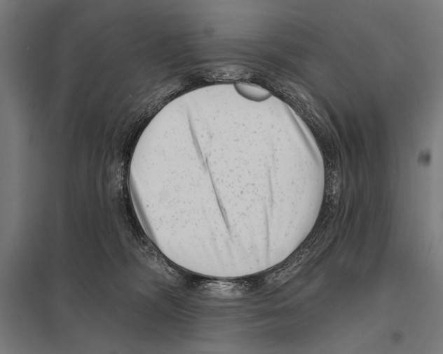 X0000097590326200803280933