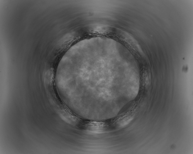 X0000097590328200803280933