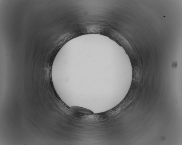 X0000097590329200803280933