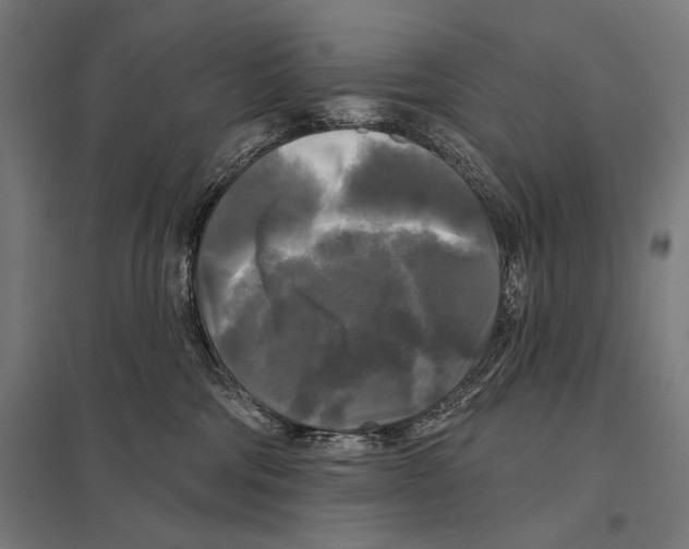 X0000097590330200803280933