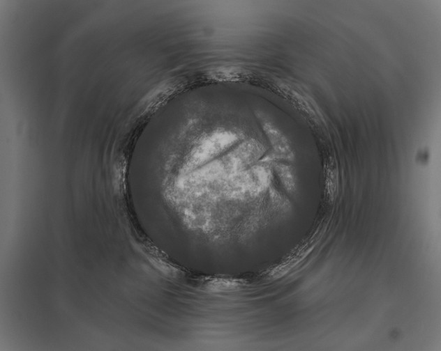 X0000097590332200803280933