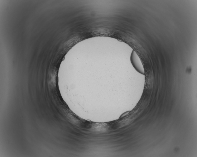 X0000097590334200803280933