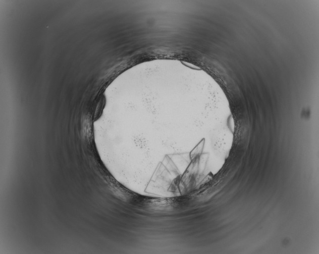 X0000097590335200803280933