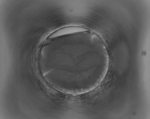 X0000097590337200803280933