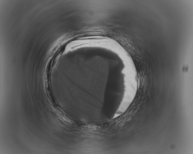 X0000097590339200803280933