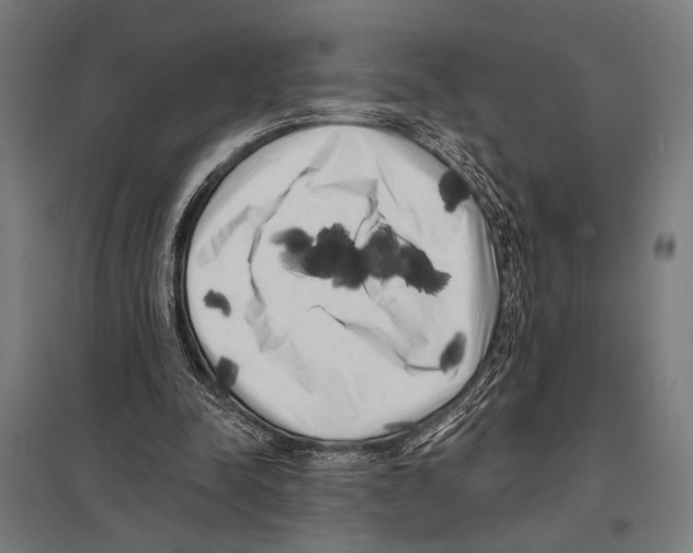 X0000097590342200803280933