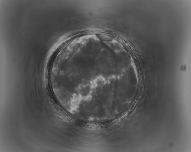 X0000097590343200803280933