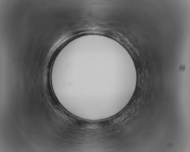 X0000097590344200803280933