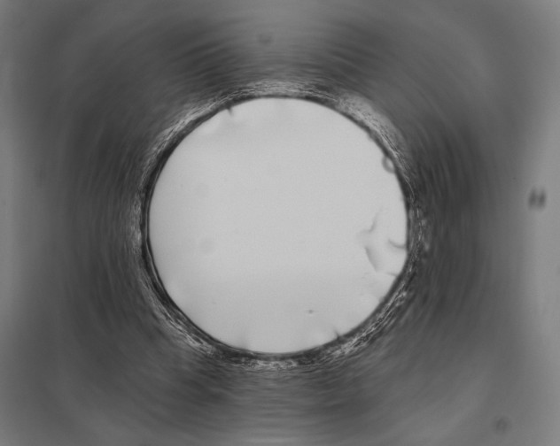 X0000097590345200803280933