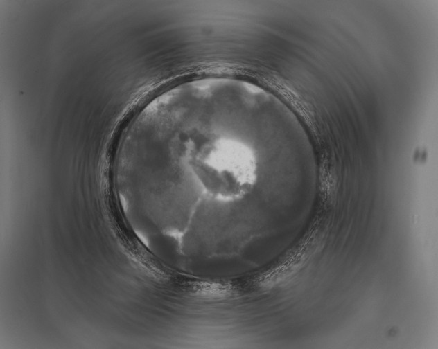 X0000097590347200803280933