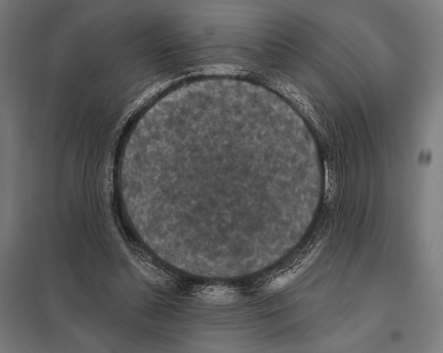 X0000097590348200803280933