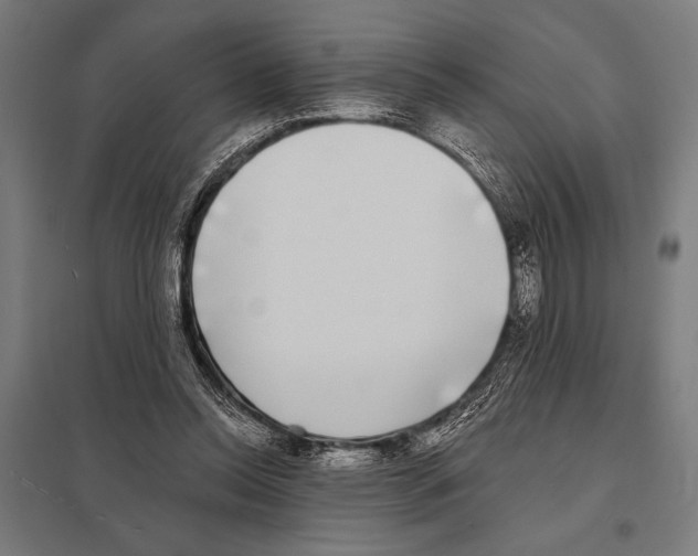 X0000097590350200803280933