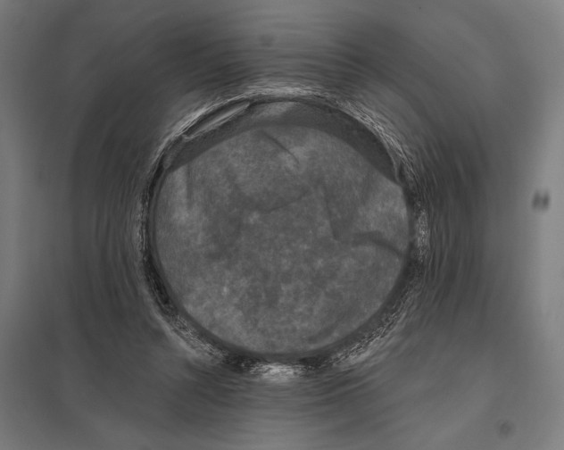 X0000097590352200803280933