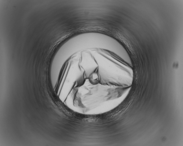 X0000097590356200803280933