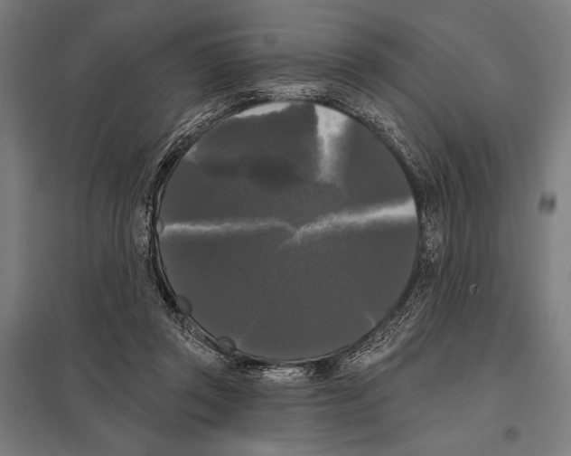 X0000097590357200803280933