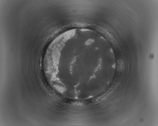 X0000097590358200803280933