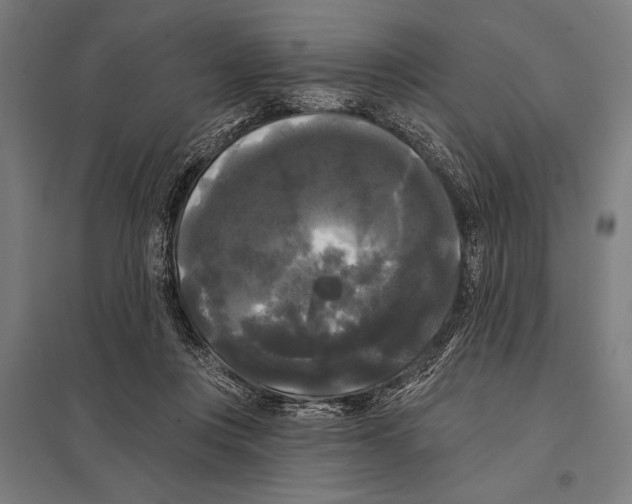 X0000097590359200803280933