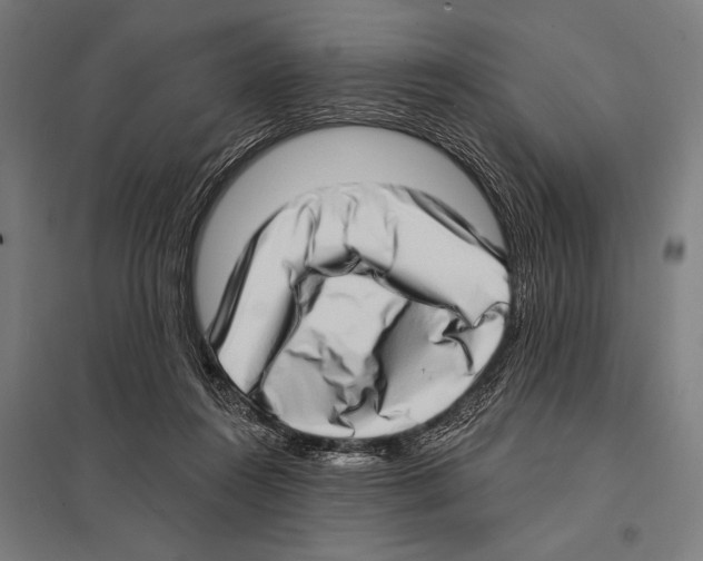 X0000097590360200803280933