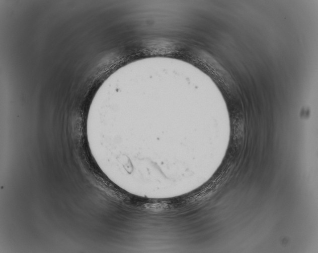 X0000097590362200803280933