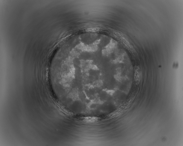 X0000097590363200803280933