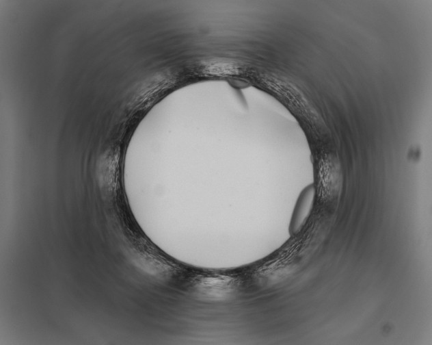 X0000097590364200803280933