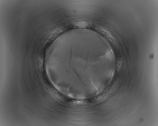 X0000097590365200803280933