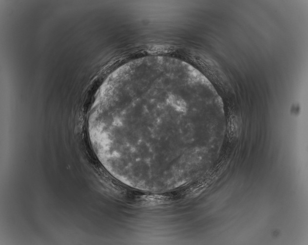 X0000097590367200803280933