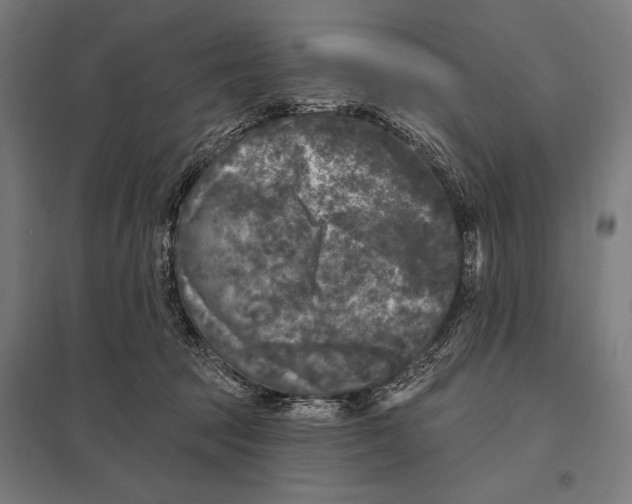 X0000097590369200803280933