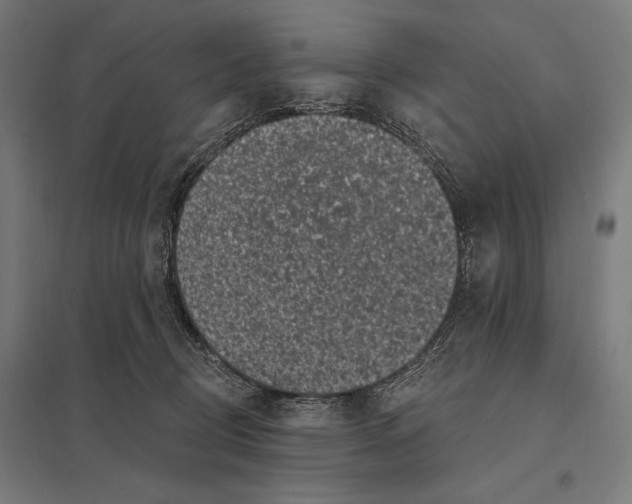 X0000097590370200803280933