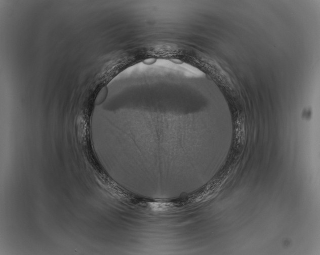 X0000097590371200803280933