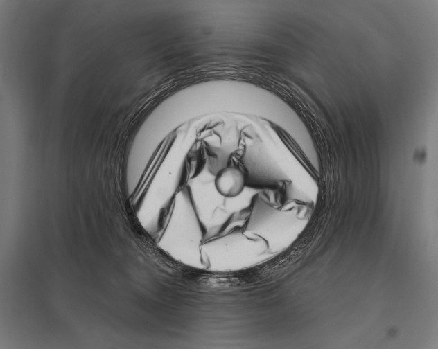 X0000097590372200803280933