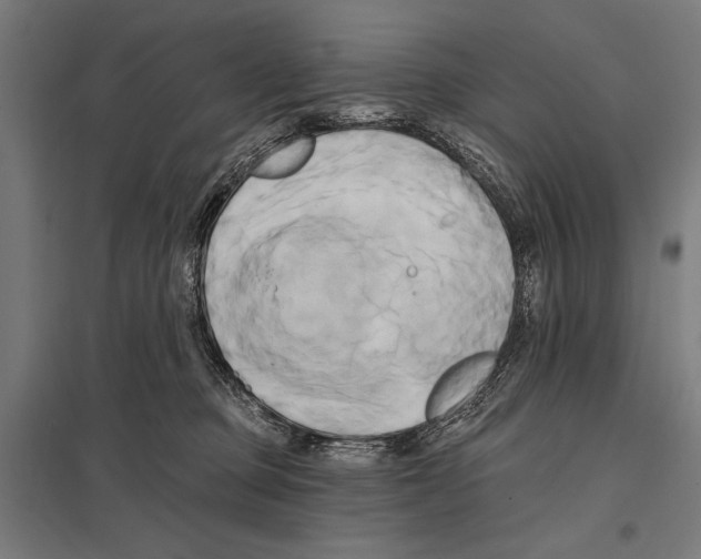 X0000097590373200803280933