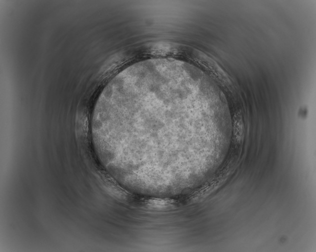 X0000097590375200803280933