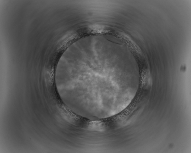 X0000097590376200803280933