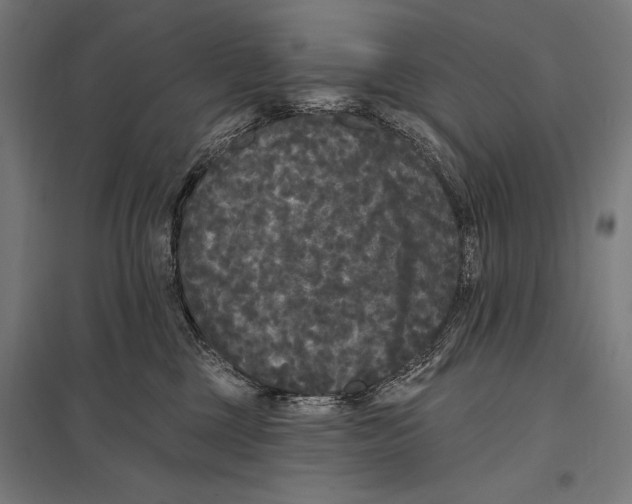 X0000097590377200803280933