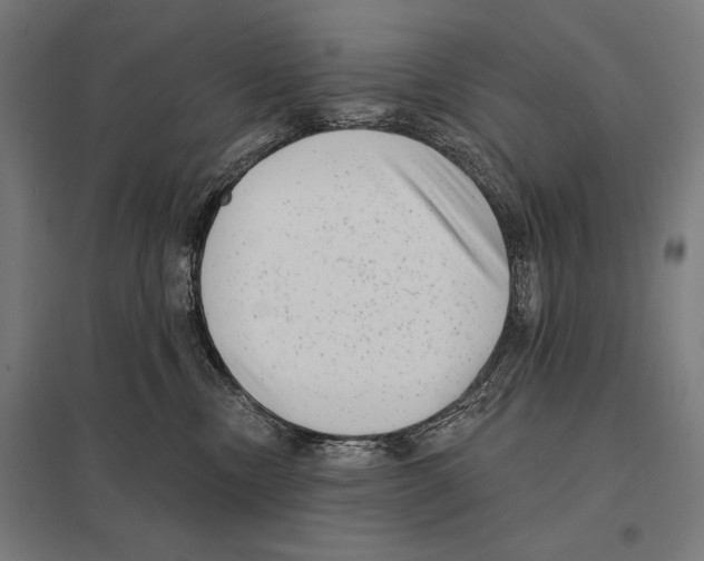 X0000097590378200803280933