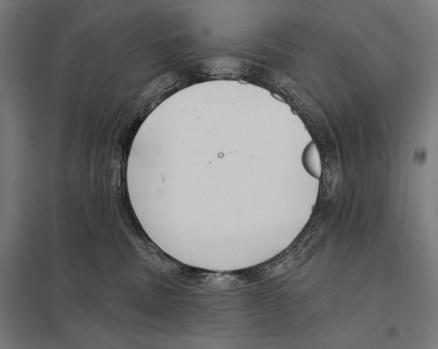 X0000097590379200803280933