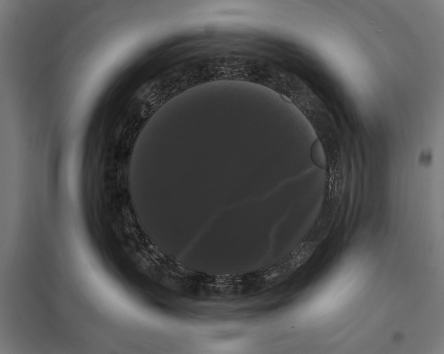 X0000097590383200803280933