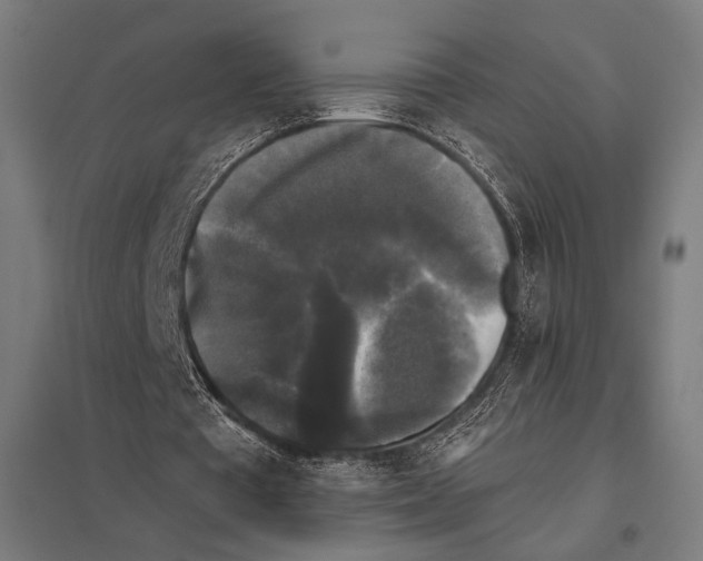 X0000097590385200803280933