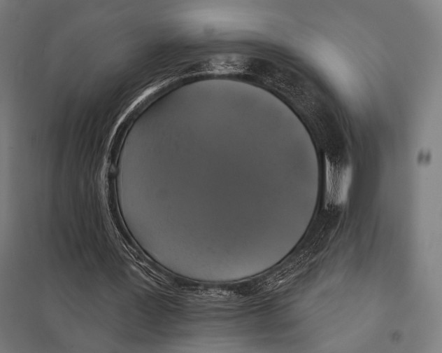 X0000097590387200803280933