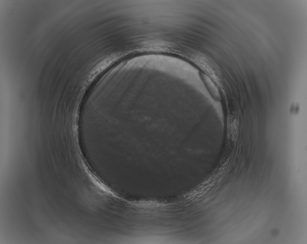 X0000097590389200803280933