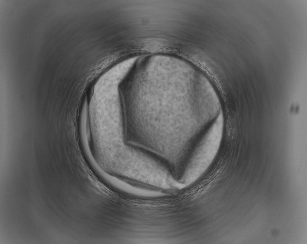 X0000097590393200803280933