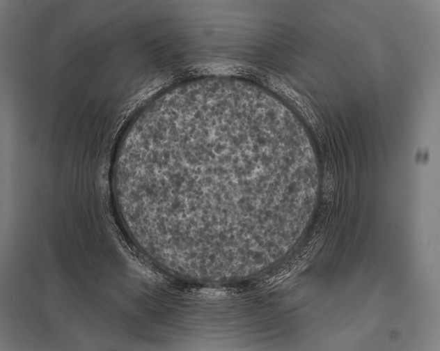 X0000097590394200803280933