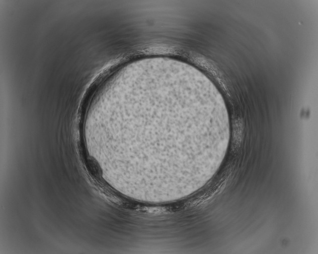 X0000097590395200803280933