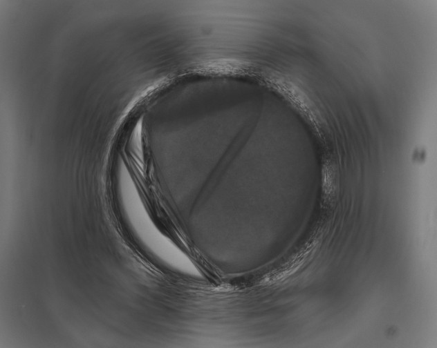 X0000097590396200803280933