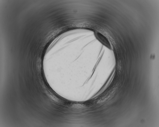 X0000097590397200803280933