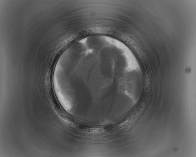 X0000097590398200803280932